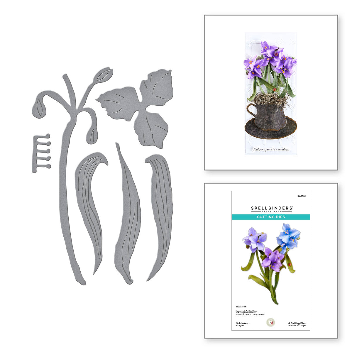 Spellbinders Spiderwort Etched Dies s4-1391