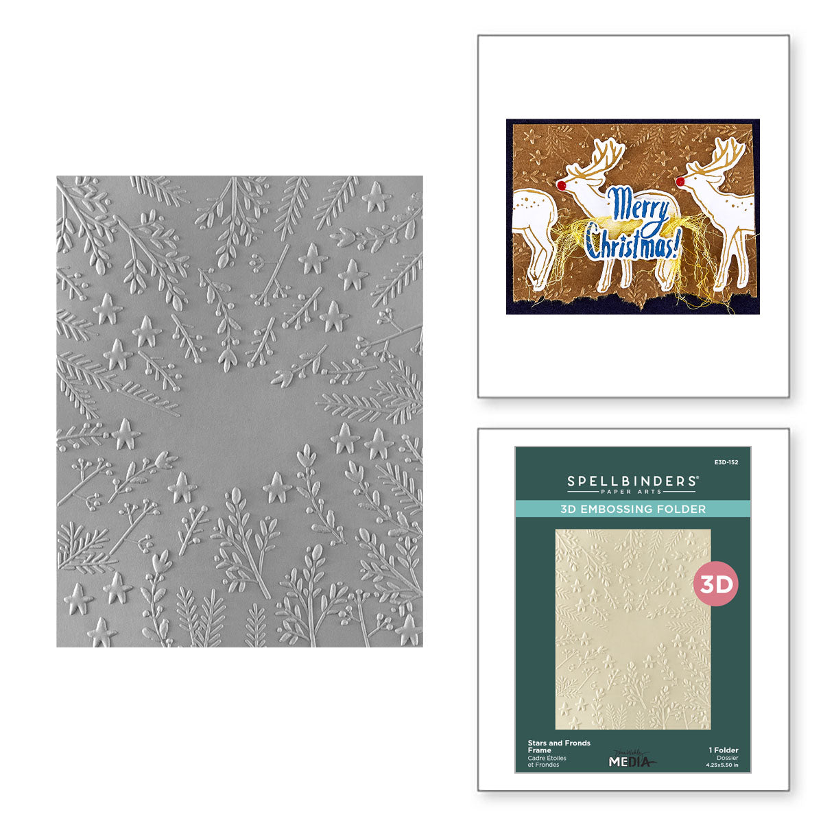 Spellbinders Stars and Fronds Frame 3D Embossing Folder e3d-152
