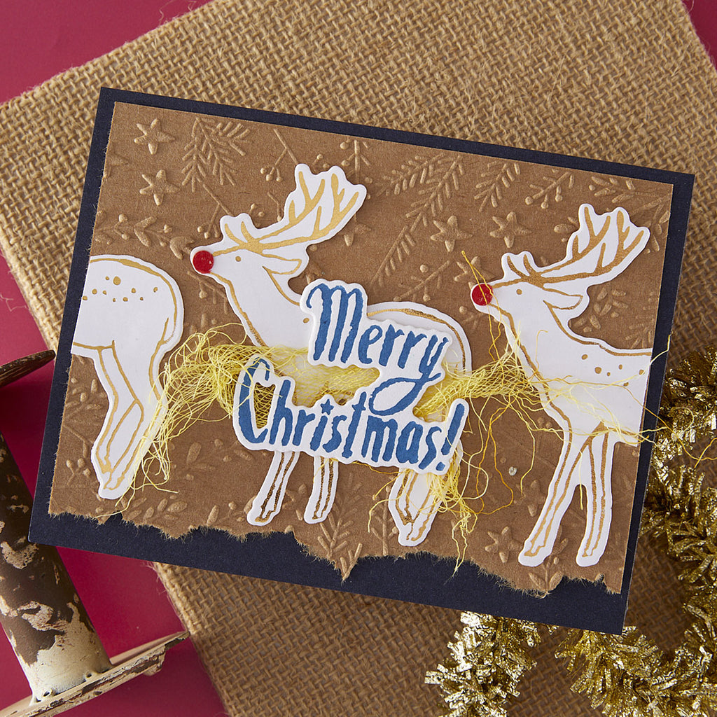 Spellbinders Stars and Fronds Frame 3D Embossing Folder e3d-152 christmas