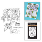 Spellbinders Thanks in Bloom Press and Foil Plates bp-351
