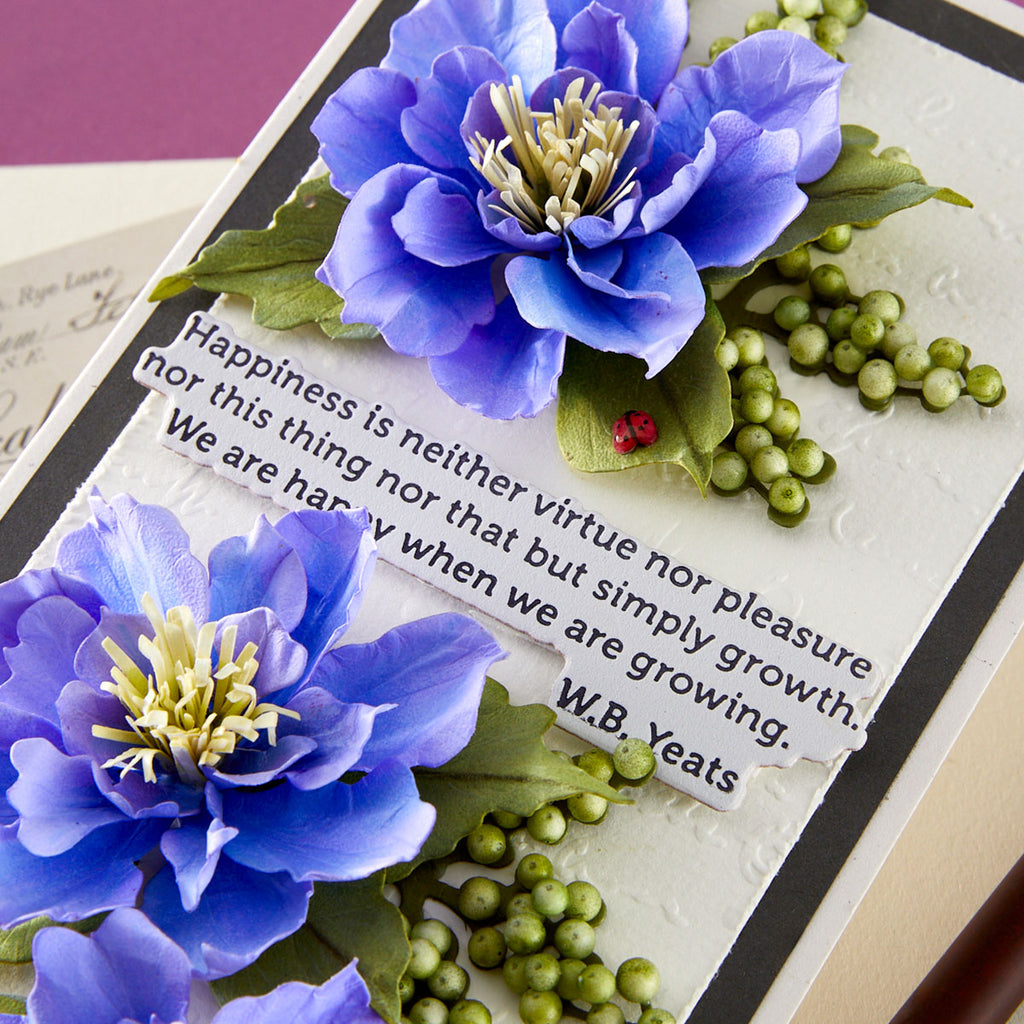 Spellbinders The Poet's Garden Sentiments Press and Foil Plate and Die Set bp-325 happiness