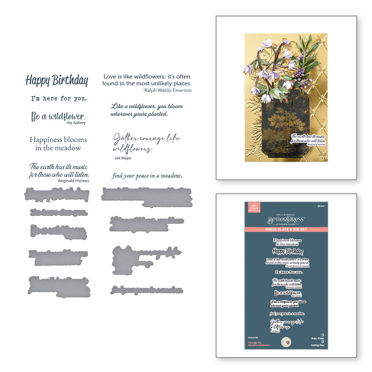 Spellbinders Through the Meadow Sentiments BetterPress Plate and Die Set bp-244