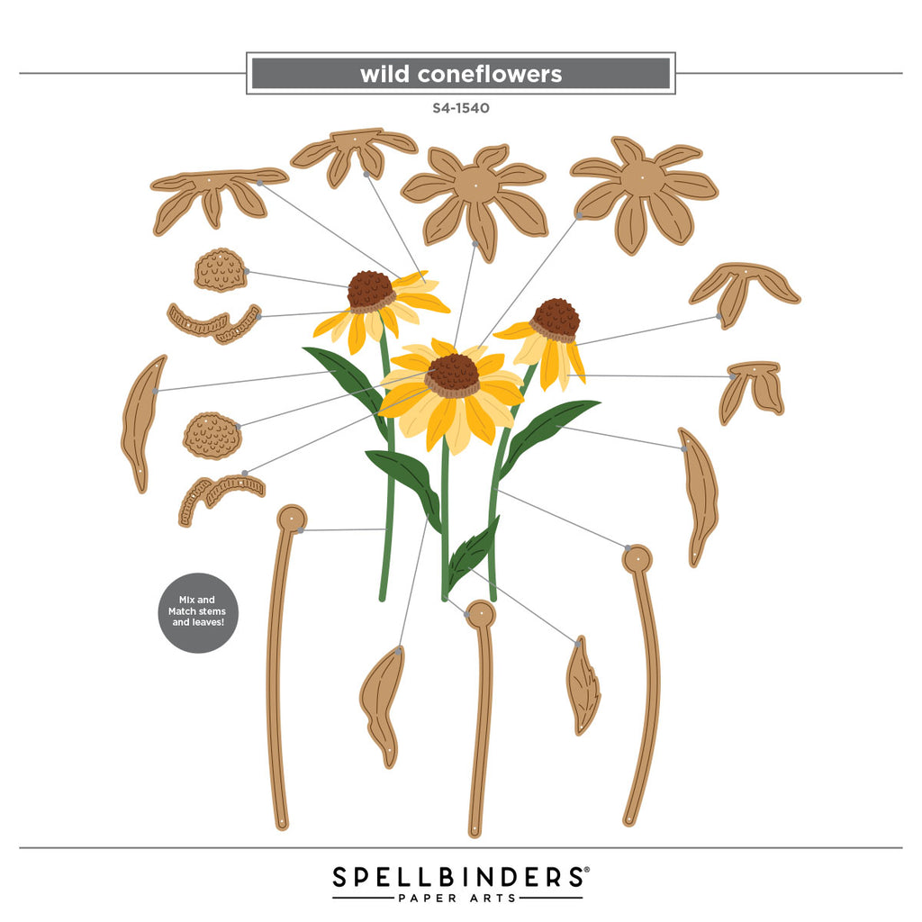 Spellbinders Wild Coneflowers Etched Dies s4-1540 assembly guide