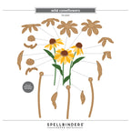 Spellbinders Wild Coneflowers Etched Dies s4-1540 assembly guide