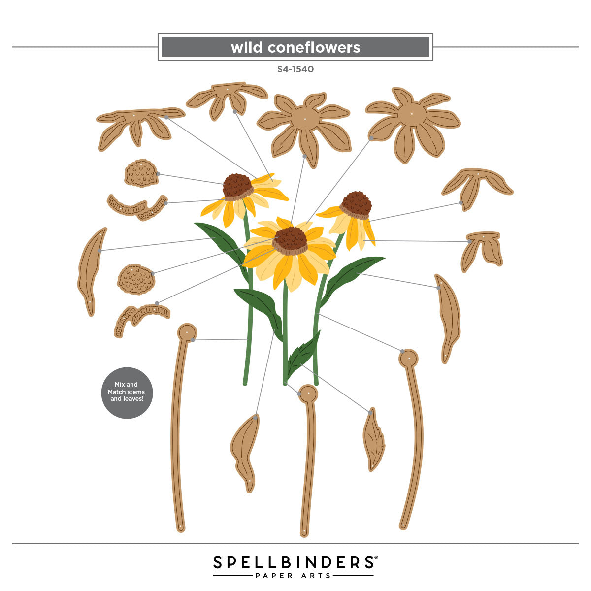 Spellbinders Wild Coneflowers Etched Dies s4-1540 assembly guide