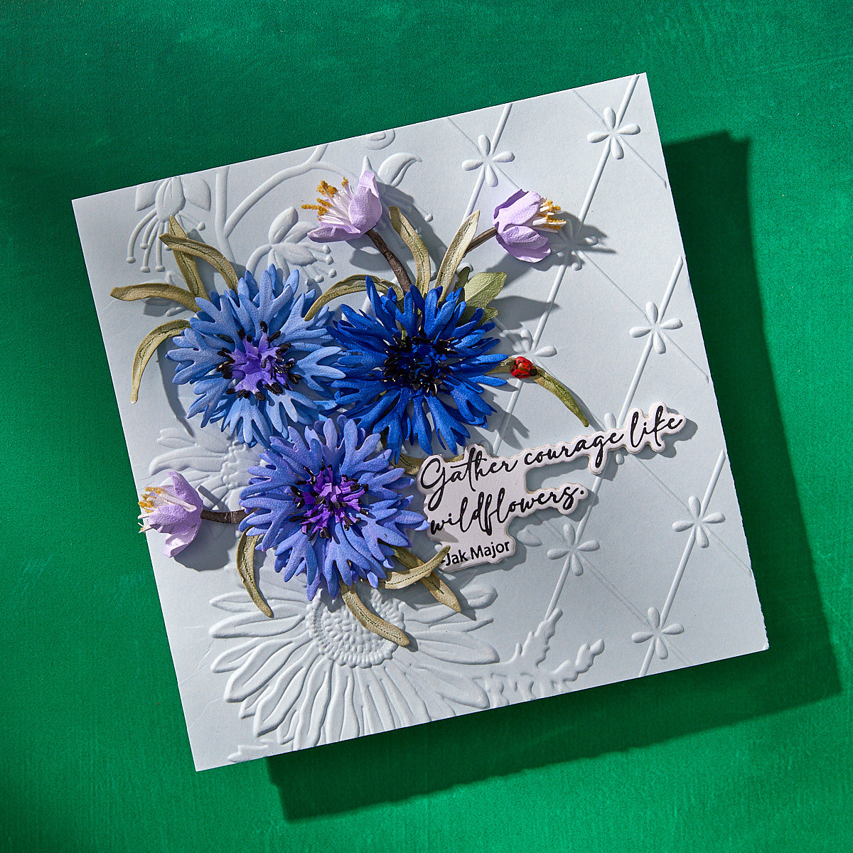 Spellbinders Wildly Beautiful 3D Embossing Folder e3d-117 gather