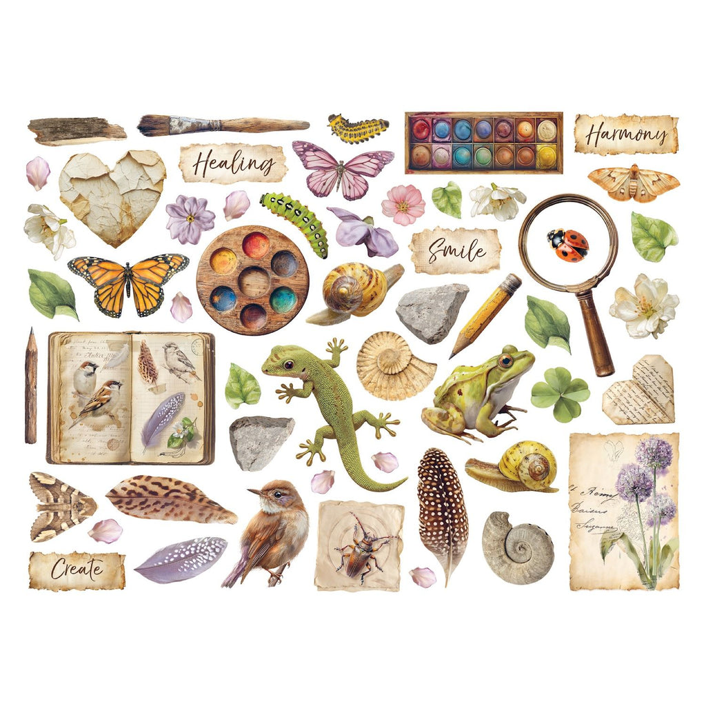 Stamperia All Around Die Cuts dfldc133 paint
