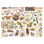 Stamperia All Around Die Cuts dfldc133 paint