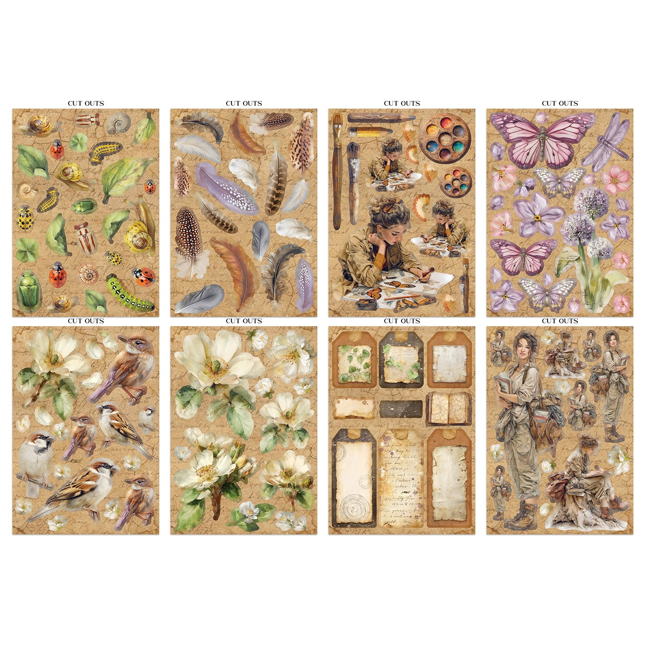 Stamperia All Around Focus Points Junk Journal sbjks02 bugs