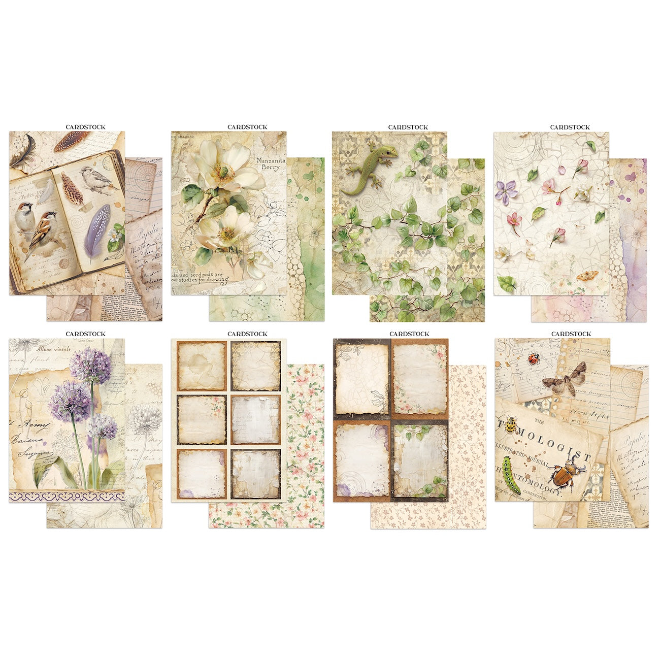 Stamperia All Around Focus Points Junk Journal sbjks02 cardstock