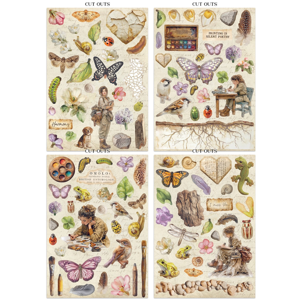 Stamperia All Around Junk Journal sbjk20 rocks