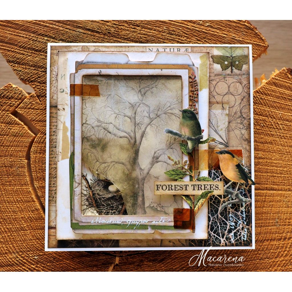 Stamperia FOREST 12x12 Paper sbbl63 birds | color-code:ALT01