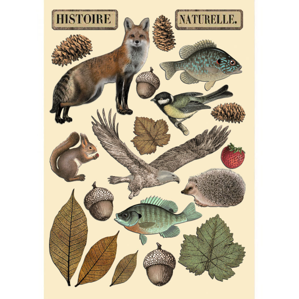 Stamperia Forest Colored Wooden Shapes A5 klsp171
