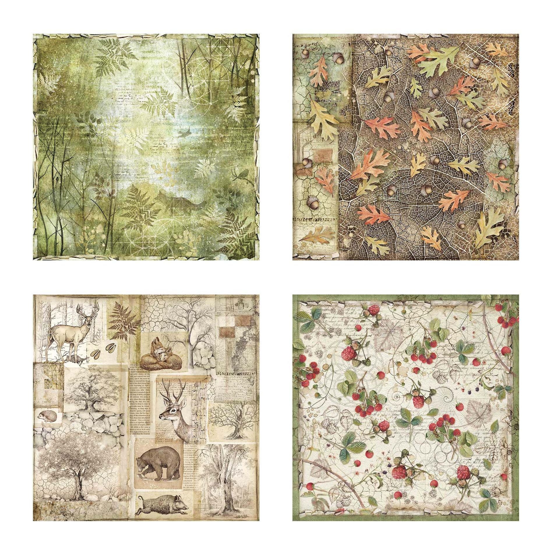 Stamperia Forest Fabric Sheets sbplt35 sheets