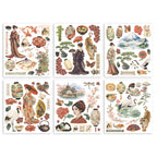 Stamperia Oriental Garden Rub On Kit dflrbxg11 dragonfly