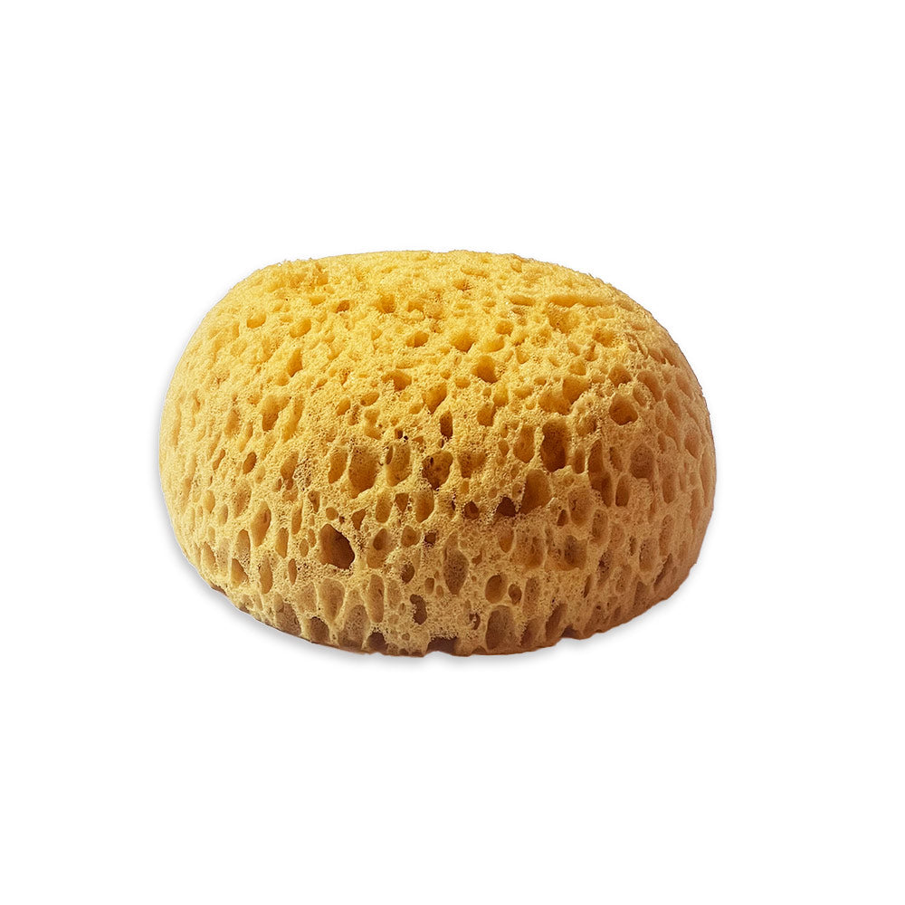 Stamperia Paint Sponge astl003 open