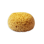 Stamperia Paint Sponge astl003 open