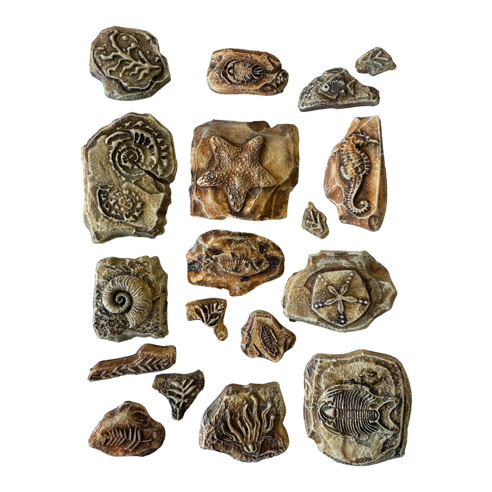 Stamperia Silent Sea Fossils A5 Soft Mold k3pta5670 pieces