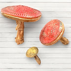 Stamperia Whispering Woods Mushrooms 3d A5 Silicone Mold kacma588 mushrooms