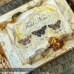 Stampers Anonymous Cling Rubber Stamps Classics #17 scf017 flowers