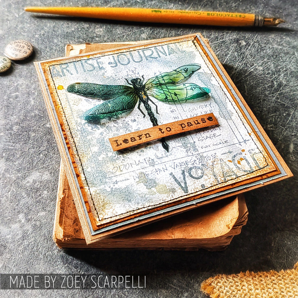 Stampers Anonymous Cling Rubber Stamps Classics #1 scf001 learn