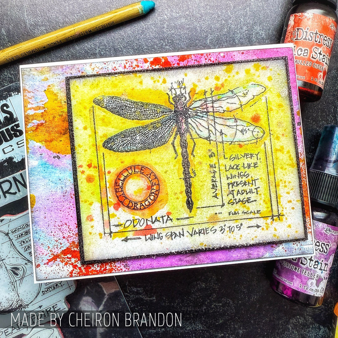 Stampers Anonymous Cling Rubber Stamps Classics #1 scf001 yellow