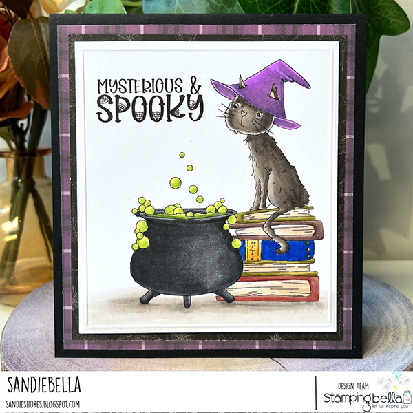 Stamping Bella Black Cat Magic Cling Stamps kf1349 books