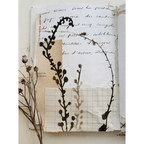 StencilGirl Fading Blooms Stencil ll1066 brown
