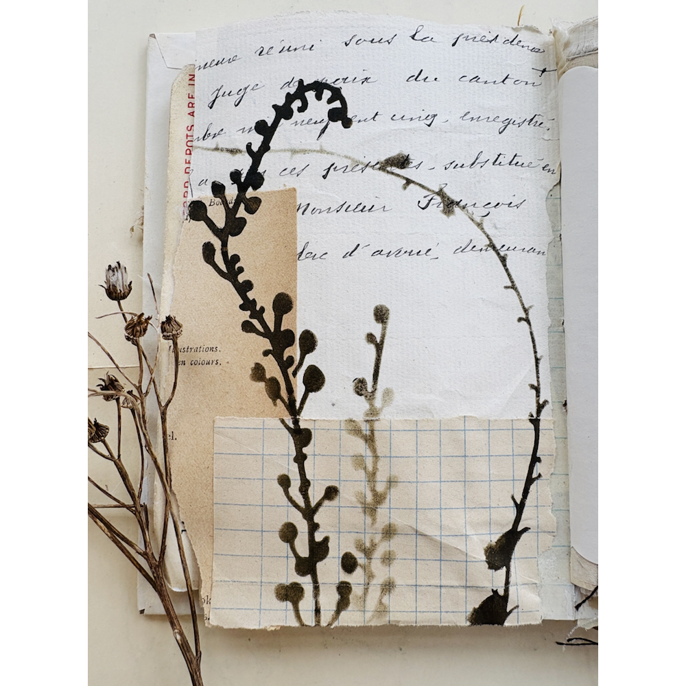 StencilGirl Fading Blooms Stencil ll1066 brown