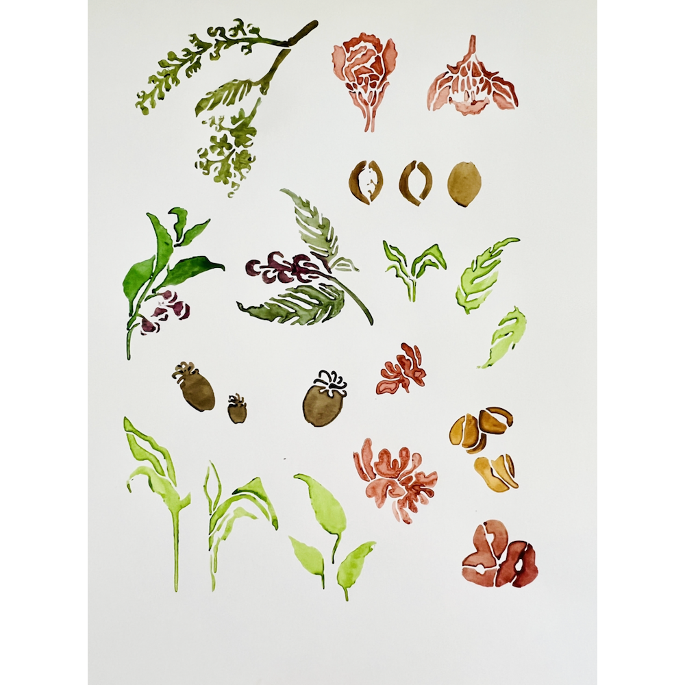 StencilGirl Heirloom Leaves and Pods Stencil ll1075 product