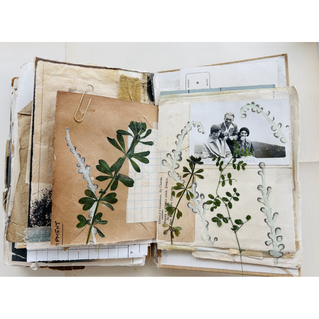 StencilGirl Whispering Grasses Stencil ll1067 green