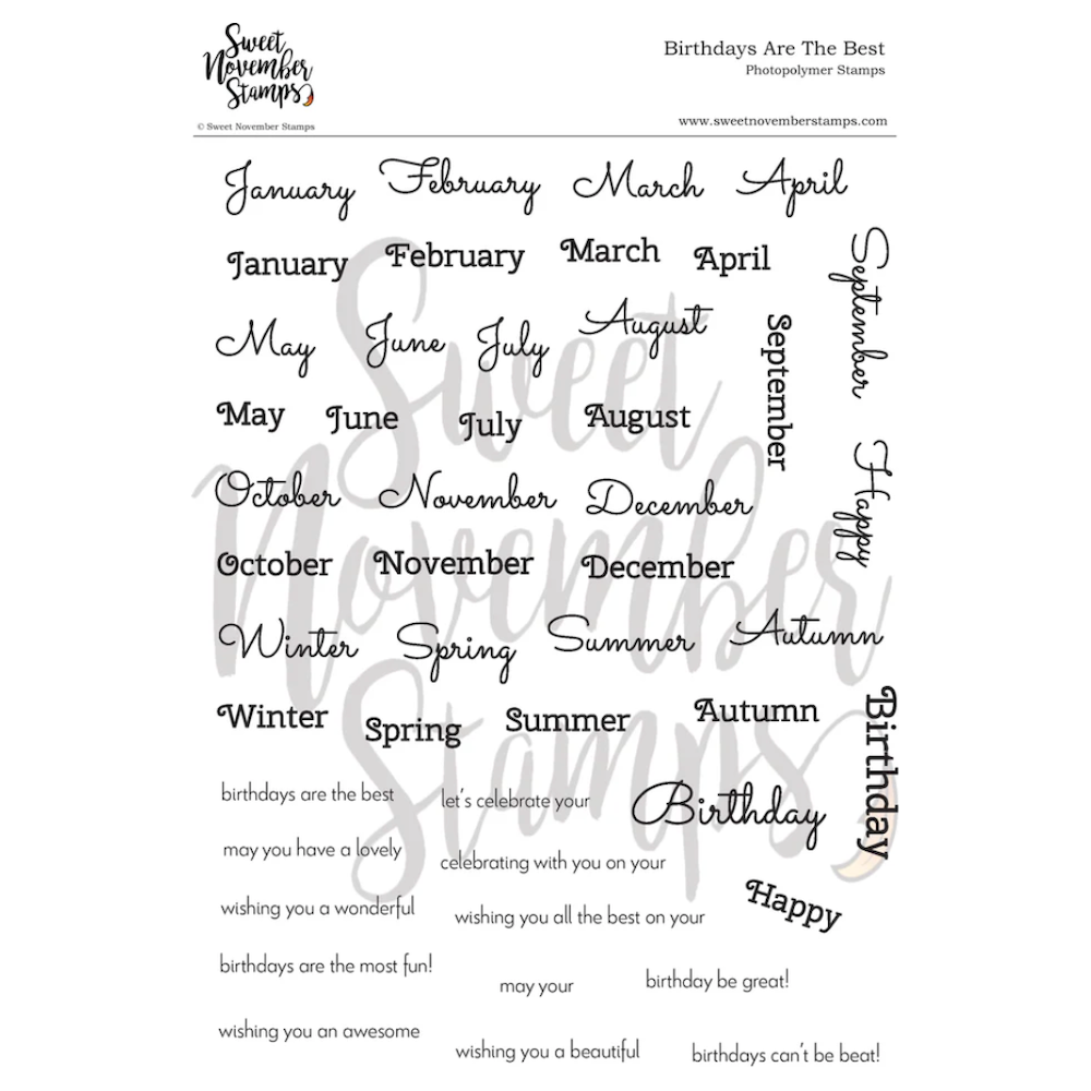 Sweet November Stamps Birthdays are the Best Clear Stamp Set sns-fb-bb-25