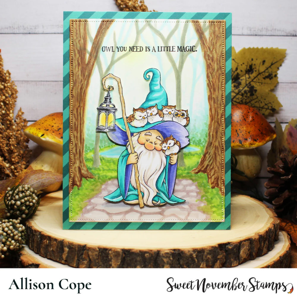 Sweet November Stamps Magnus the Wizard Clear Stamp Set sns-mw-hw-25 allison