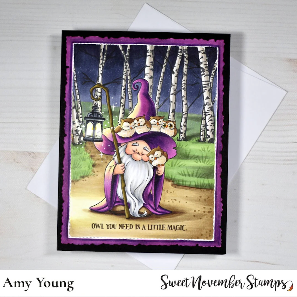 Sweet November Stamps Magnus the Wizard Clear Stamp Set sns-mw-hw-25 amy