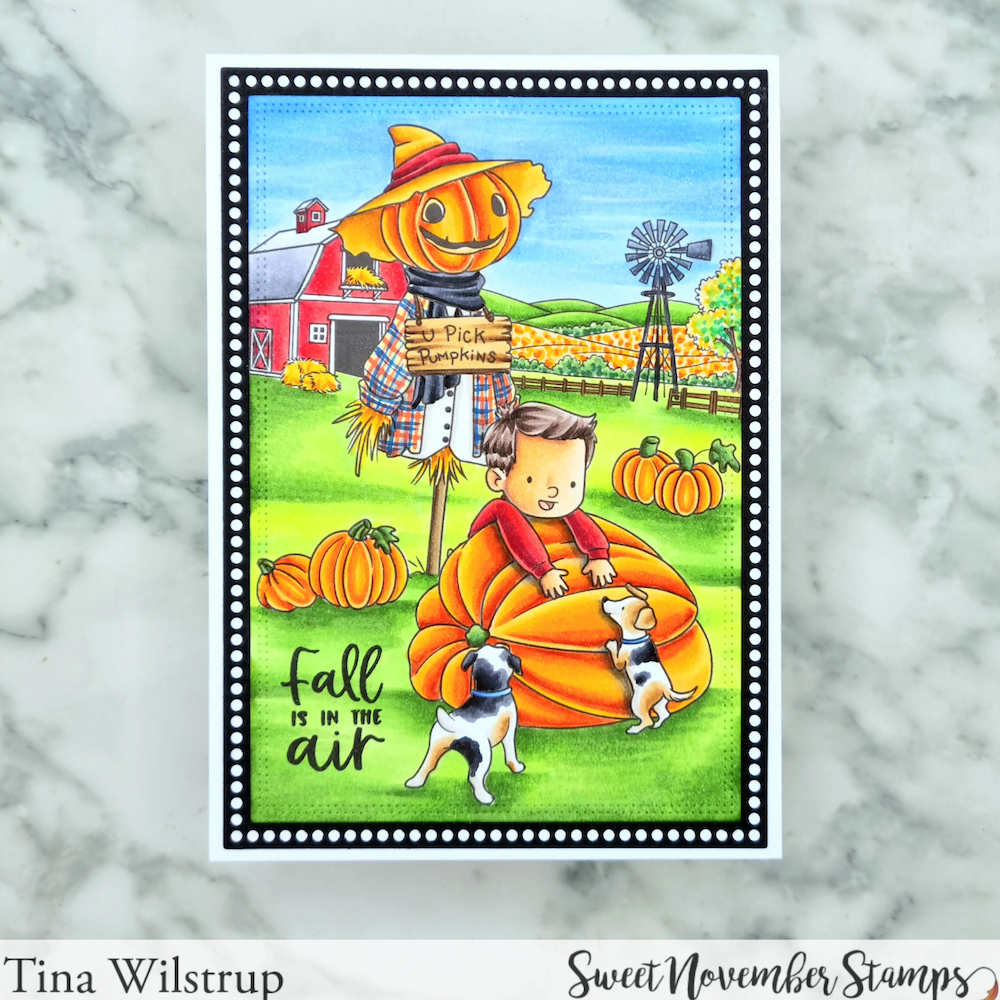 Sweet November Stamps Pumpkin Patch Clear Stamp Set sns-fl-pp-26 tina
