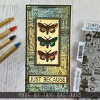 PREORDER Tim Holtz Cling Rubber Stamp Hodgepodge cms490 butterflies