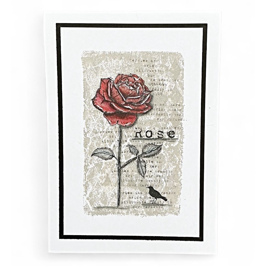 TE53.TE11_TE44_SS31Tracy Evans Boutique Designs Flora and Fauna A5 Clear Stamps te53 rose