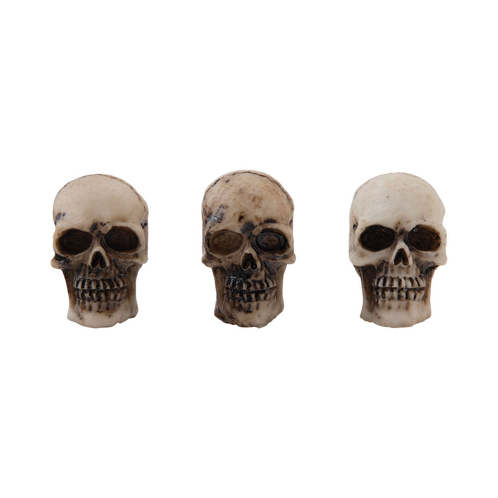 Tim Holtz Idea-ology Skulls and Bones th94339 Skulls