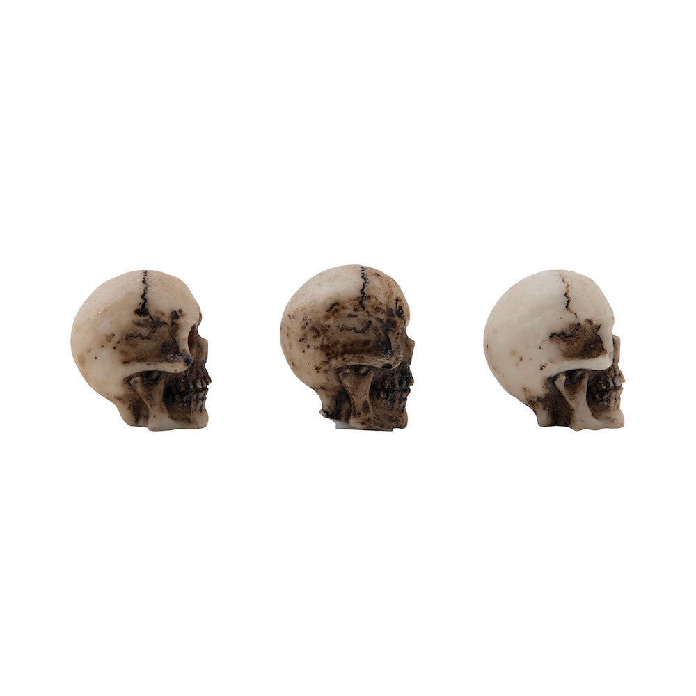 Tim Holtz Idea-ology Skulls and Bones th94339 Side