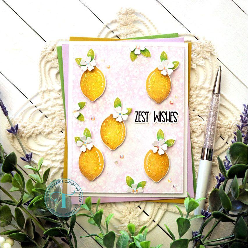 Trinity Stamps Clean Cut Layers A2 Rectangle Set B Die Set tmd-207 Floral Lemons Encouragement Card