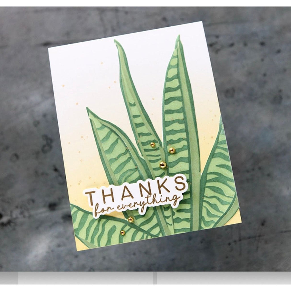 CZ Design Stamps and Dies Thank You Basics set993ty Moments in Time Thank You Card | color-code:ALT01
