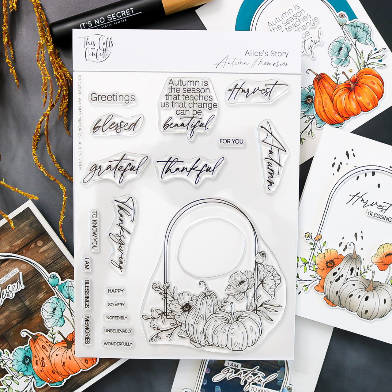 This Calls For Confetti Alice's Story Autumn Memories Clear Stamps