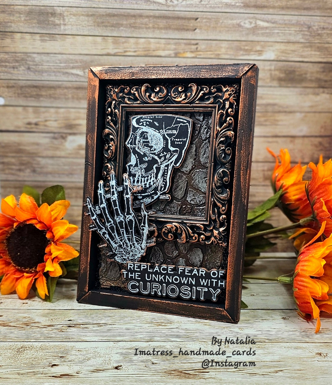 Tim Holtz Anatomy Chart Stamps with Simon Says Stamp Dies Bundle setac26 Natalia Alton Curiosity Frame