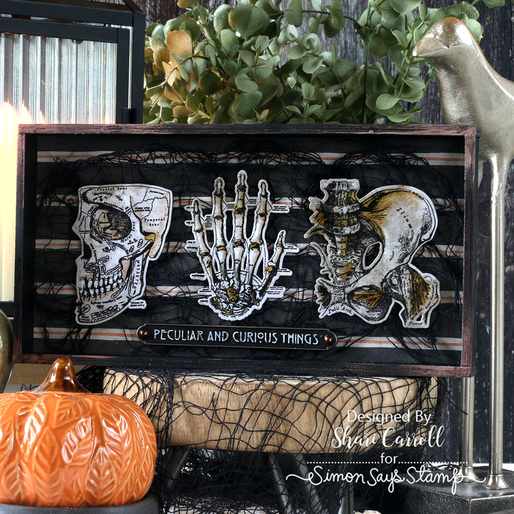 Tim Holtz Anatomy Chart Stamps with Simon Says Stamp Dies Bundle setac26 Shari Carroll Creepy Mixed Media Frame
