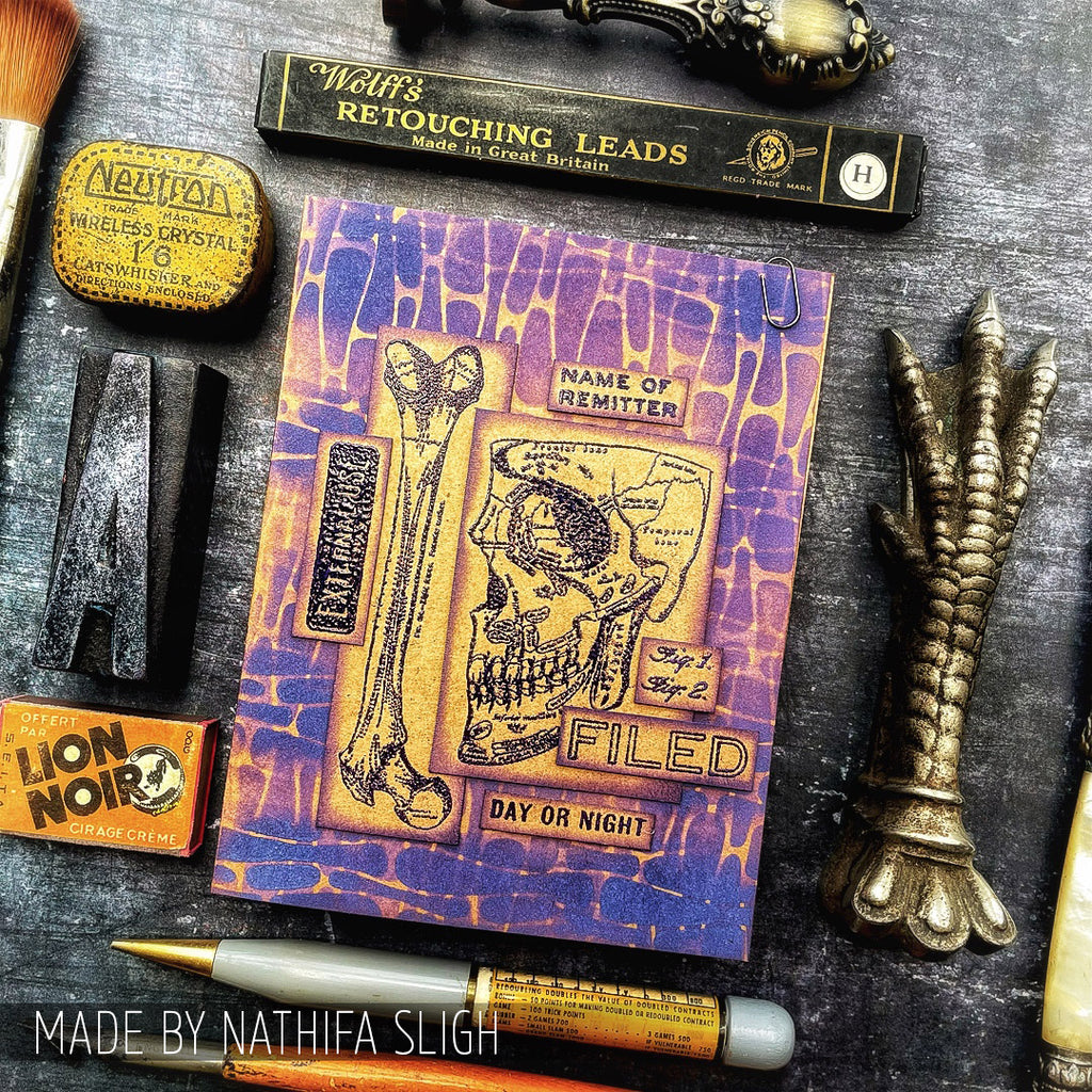 Tim Holtz Clear Stamps and Stencil Anatomy, Cells, Stitches thmm197 bones