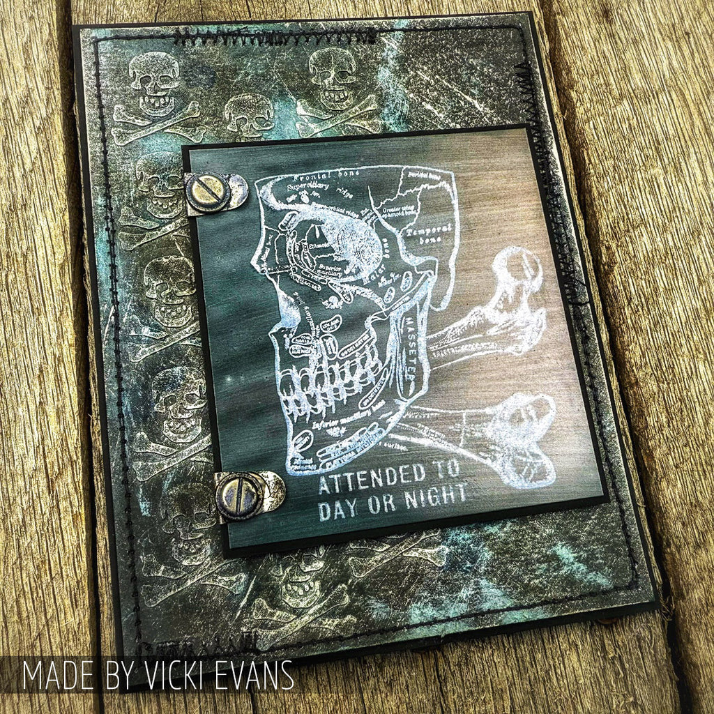 Tim Holtz Clear Stamps and Stencil Anatomy, Cells, Stitches thmm197 skeleton