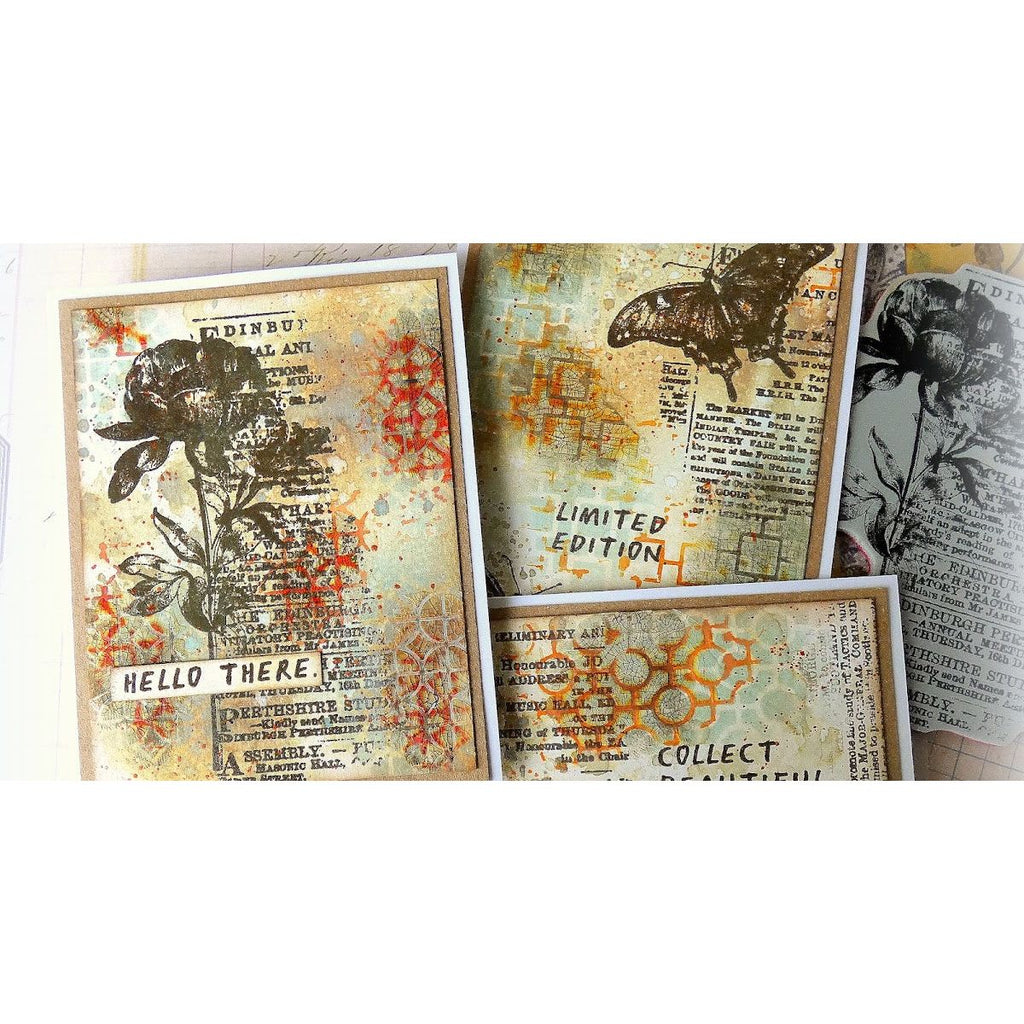 Tim Holtz Clear Stamps and Stencil Botanic Collage, Plus and Focus thmm160 butterfly