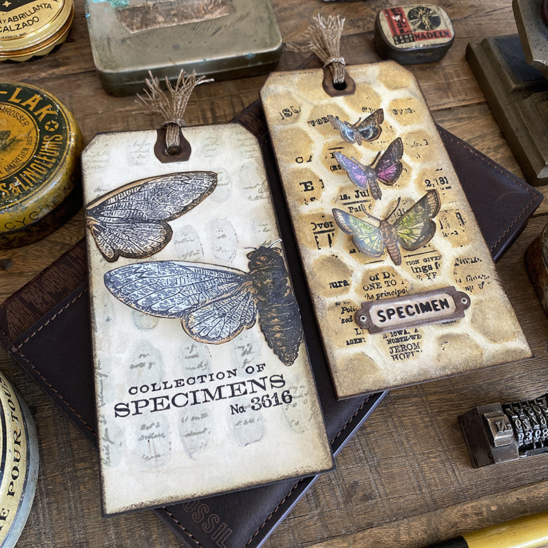 Tim Holtz Clear Stamps and Stencil Entomology, Speckles and Honeycomb thmm111 tag