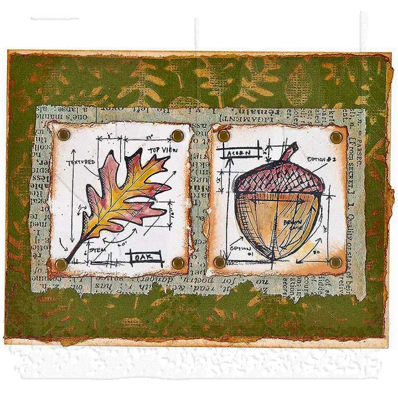 Tim Holtz Cling Rubber Stamps AUTUMN BLUEPRINT CMS133 acorn