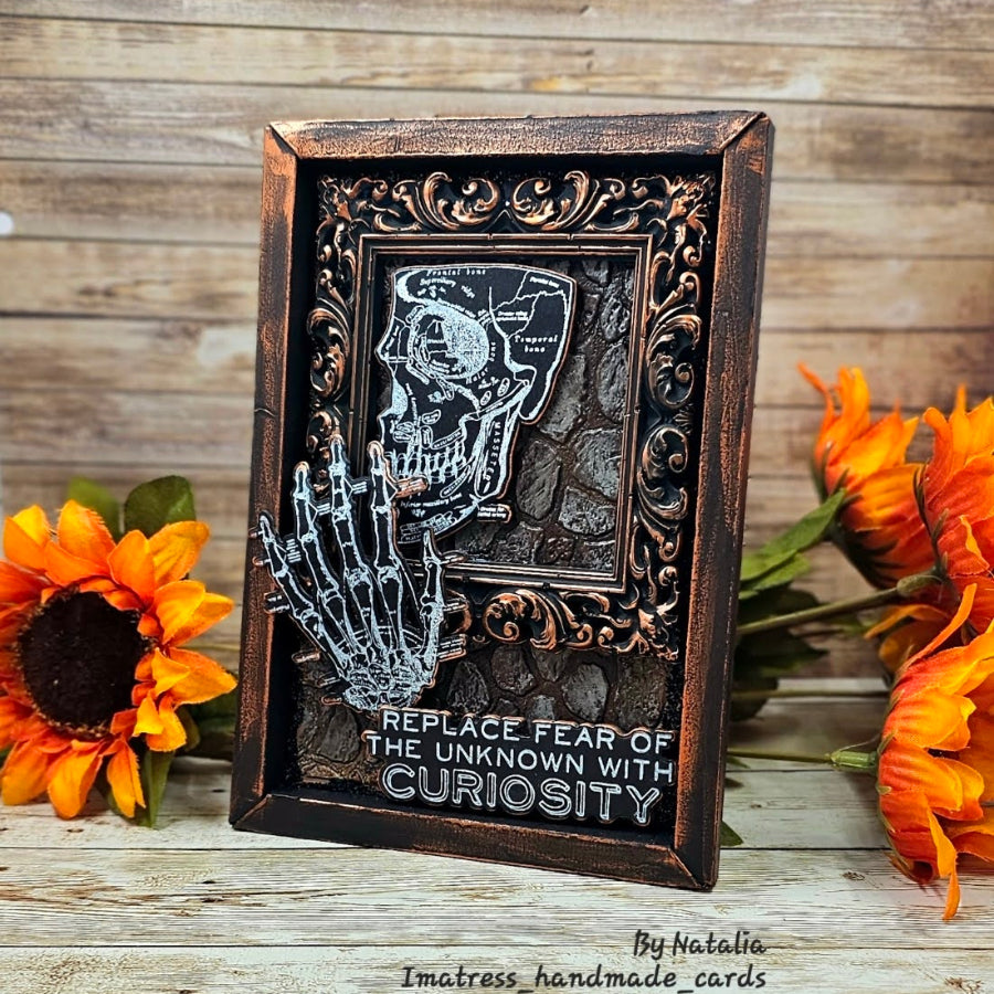 Tim Holtz Cling Rubber Stamps Anatomy Chart cms411 replace fear picture frame natalia